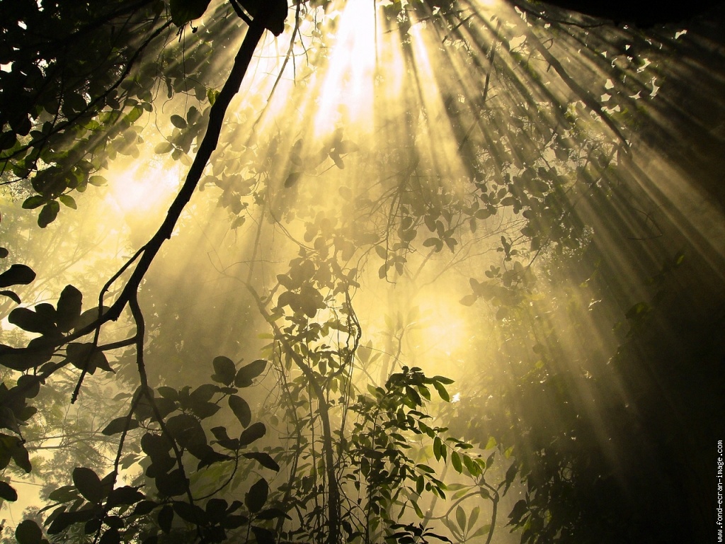 pas-facile-de-trouver-une-photo-pour-dieu